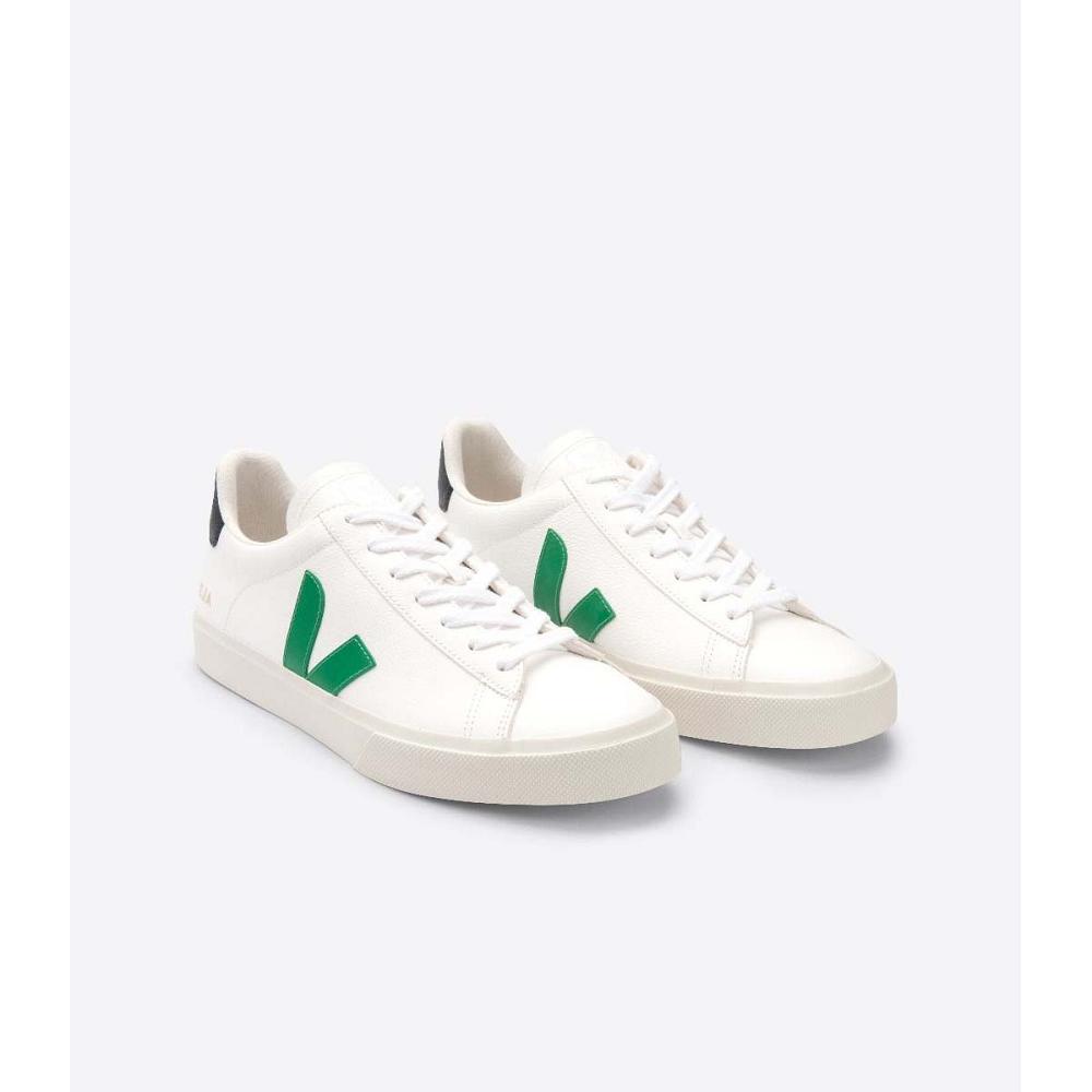 Veja CAMPO CHROMEFREE Men's Low Tops Sneakers White | CA 292UZG